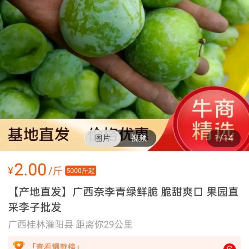 青奈李