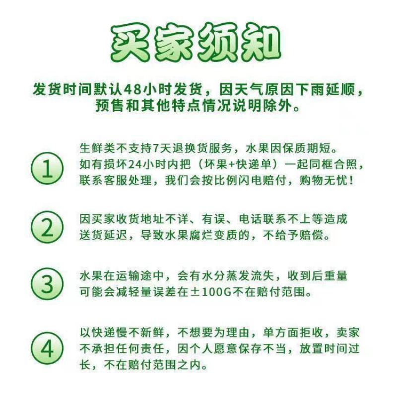 海南椰子现摘新鲜带皮椰青当季孕妇小孩水果饮料大果整箱批发