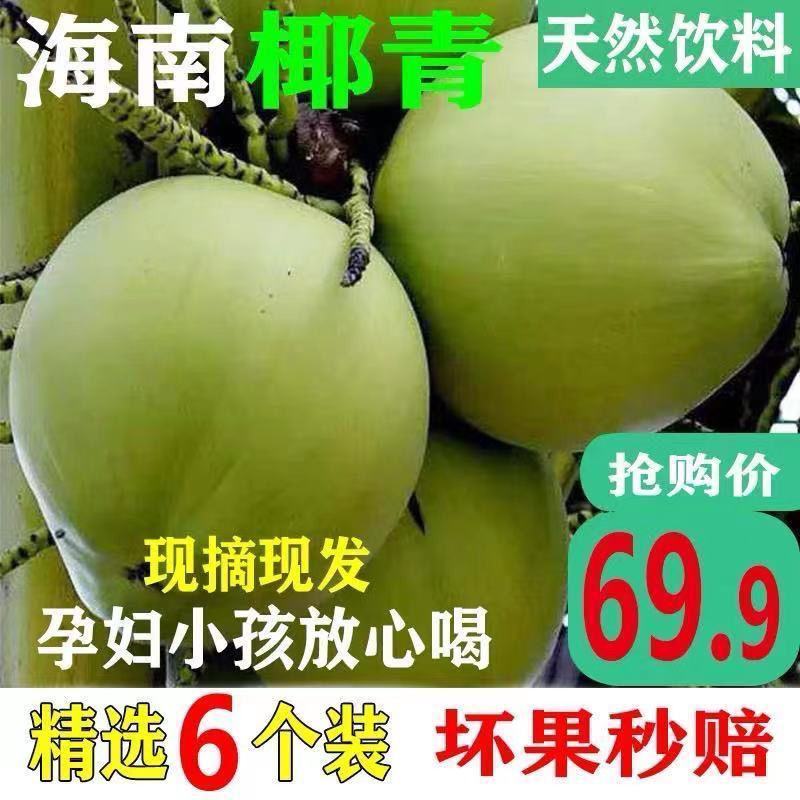 海南椰子现摘新鲜带皮椰青当季孕妇小孩水果饮料大果整箱批发