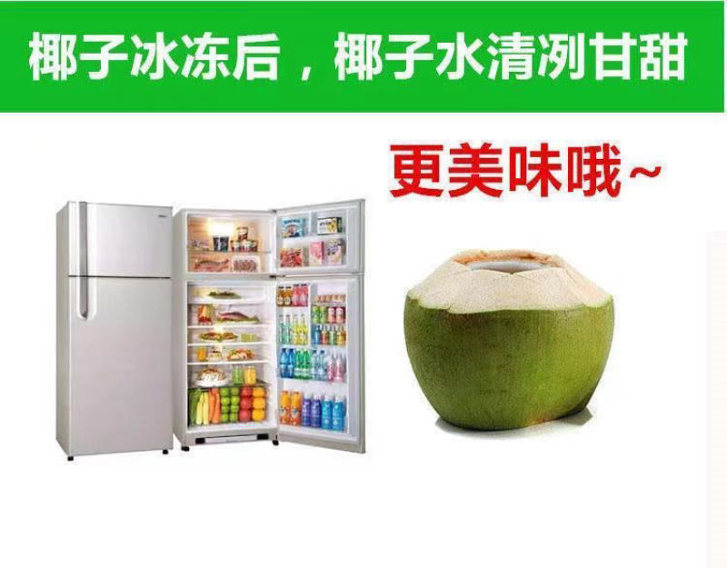 海南椰子现摘新鲜带皮椰青当季孕妇小孩水果饮料大果整箱批发