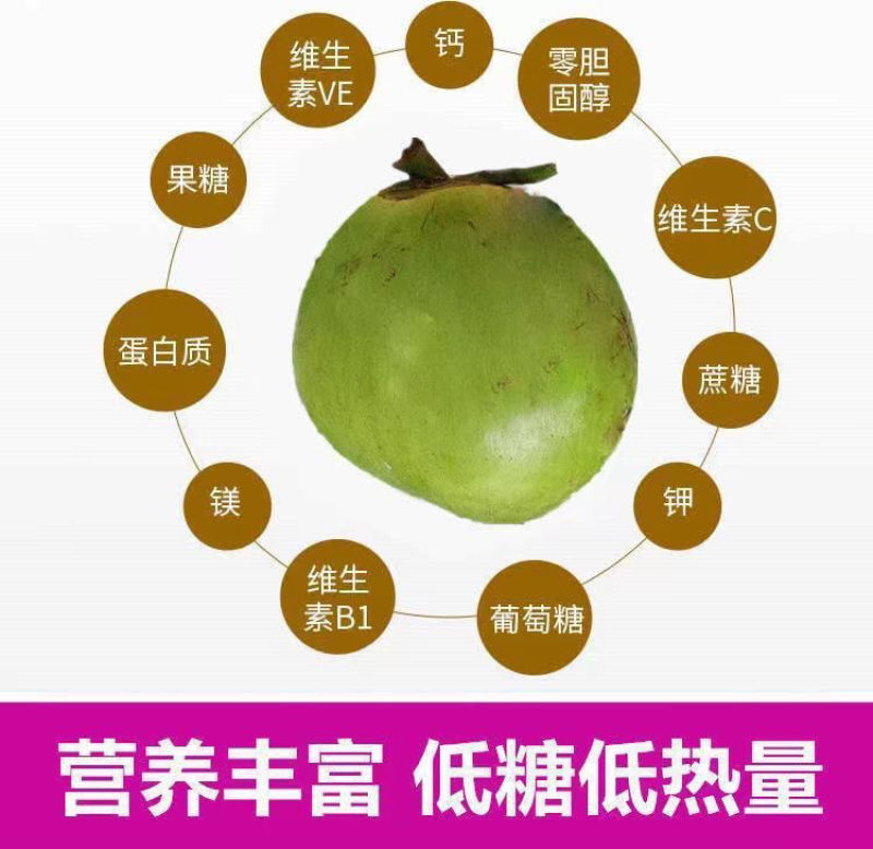 海南椰子现摘新鲜带皮椰青当季孕妇小孩水果饮料大果整箱批发