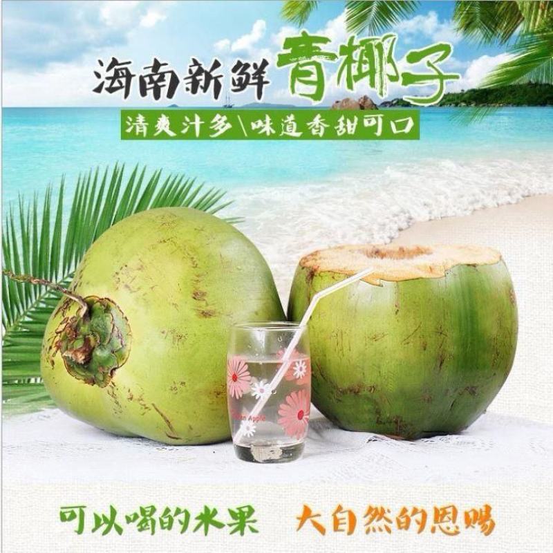 海南椰子现摘新鲜带皮椰青当季孕妇小孩水果饮料大果整箱批发