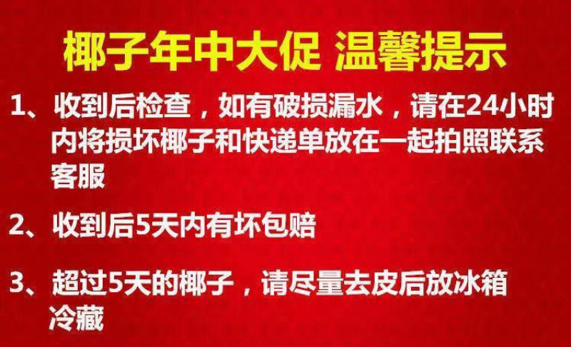 海南椰子现摘新鲜带皮椰青当季孕妇小孩水果饮料大果整箱批发