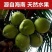 海南椰子现摘新鲜带皮椰青当季孕妇小孩水果饮料大果整箱批发