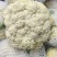 甘肃兰州高原夏菜