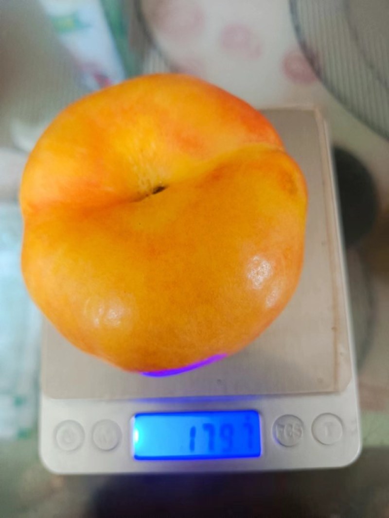 黄金三号大量上市货源充足。价格不高，代办一切手续。