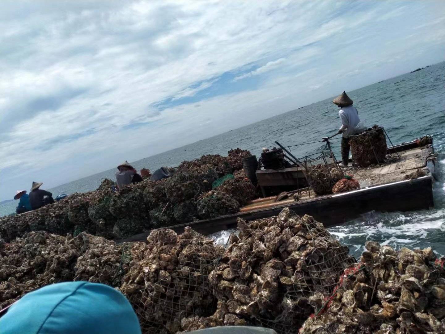 远海梭子蟹捕捞场景