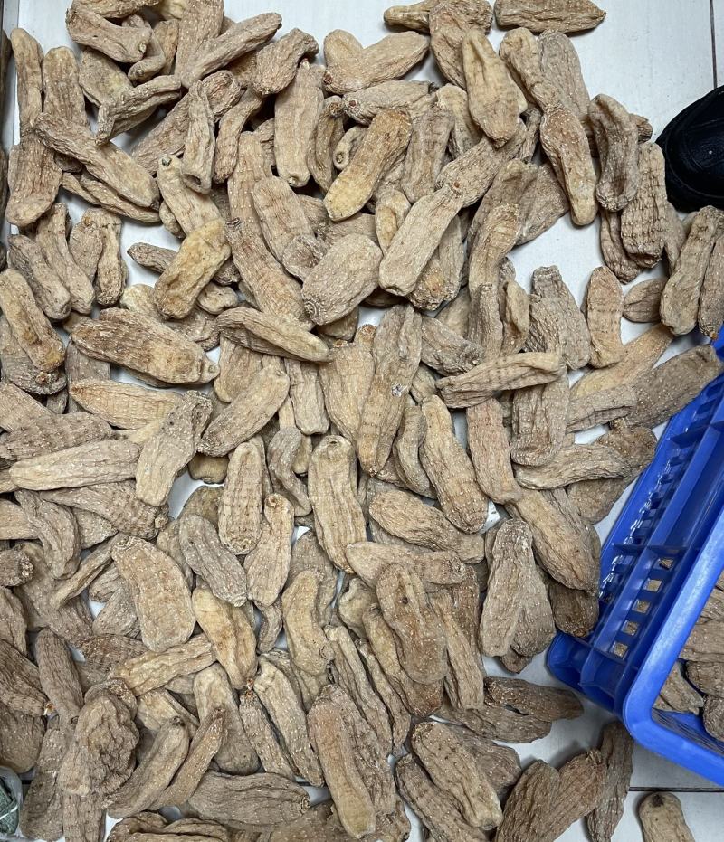 产地直销【足干天麻红麻，拼质量，不拼价钱】量大优惠