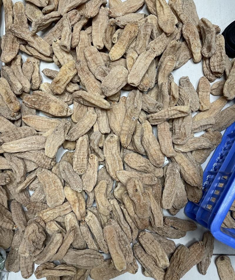 产地直销【足干天麻红麻，拼质量，不拼价钱】量大优惠