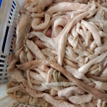 羊副产品厂家批发价格美丽欢迎来电洽谈合作