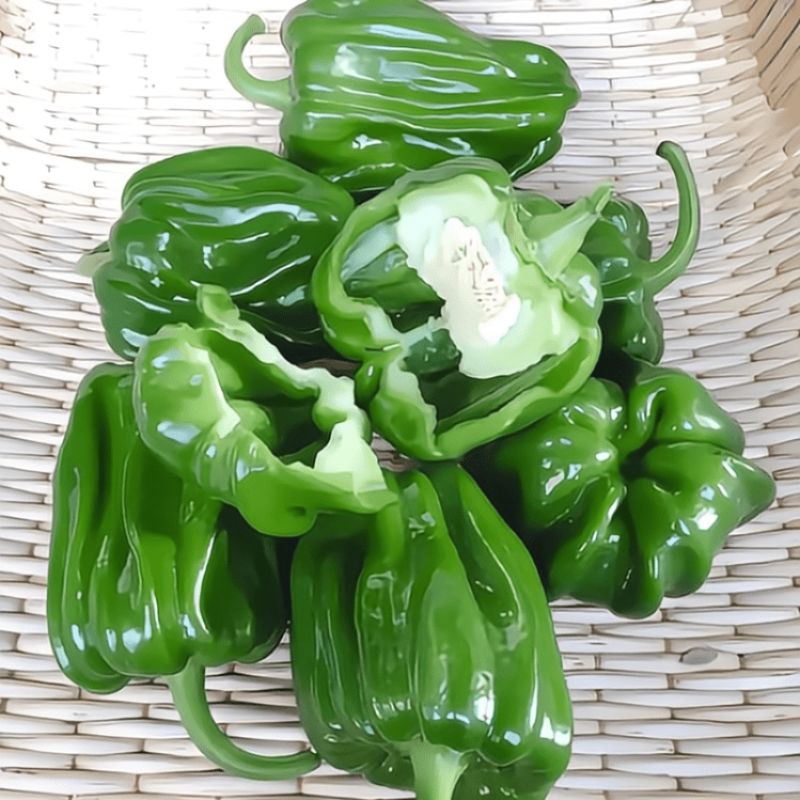 寿光市豆角