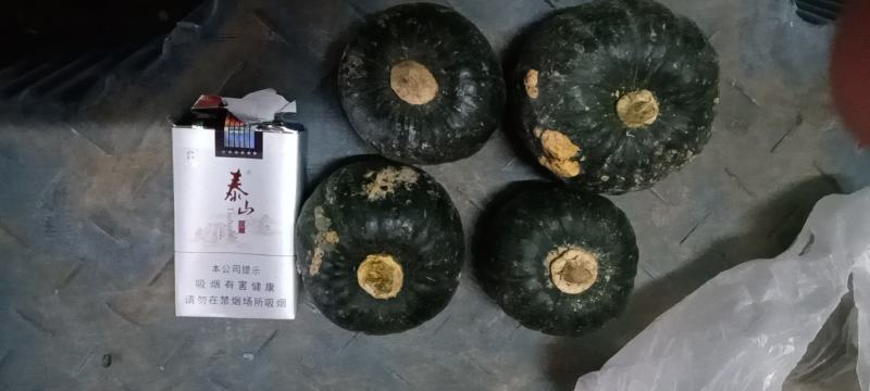 寿光市豆角