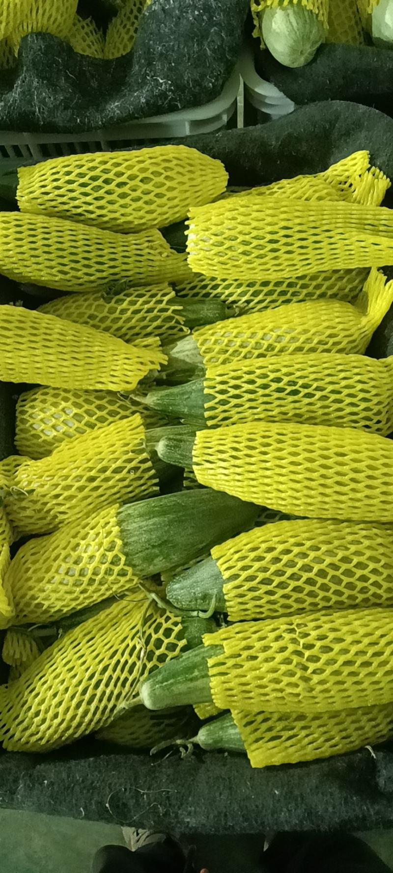寿光市豆角