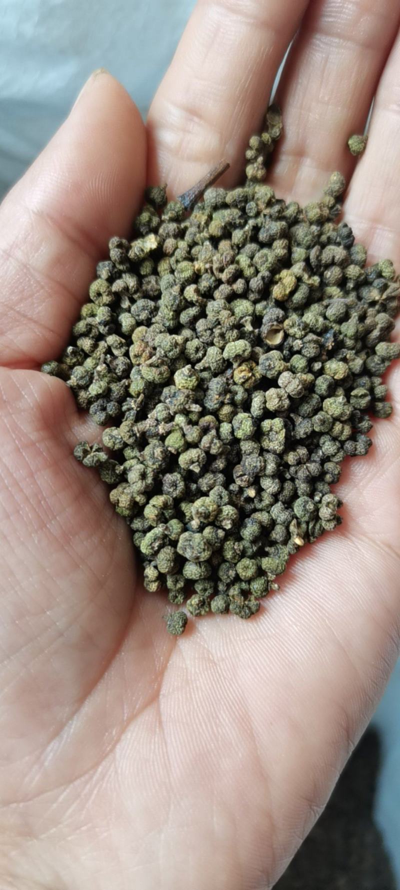 吴茱萸今年新货江西小花吴茱萸，青色小花吴茱萸
