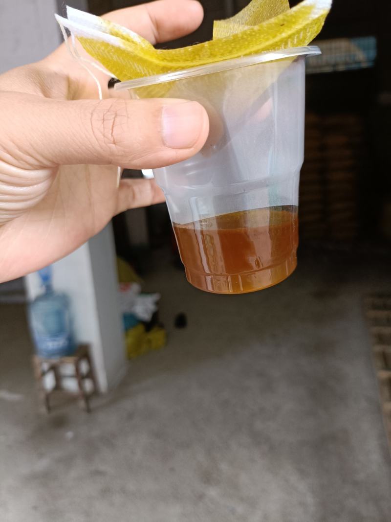 压榨浓香菜籽油