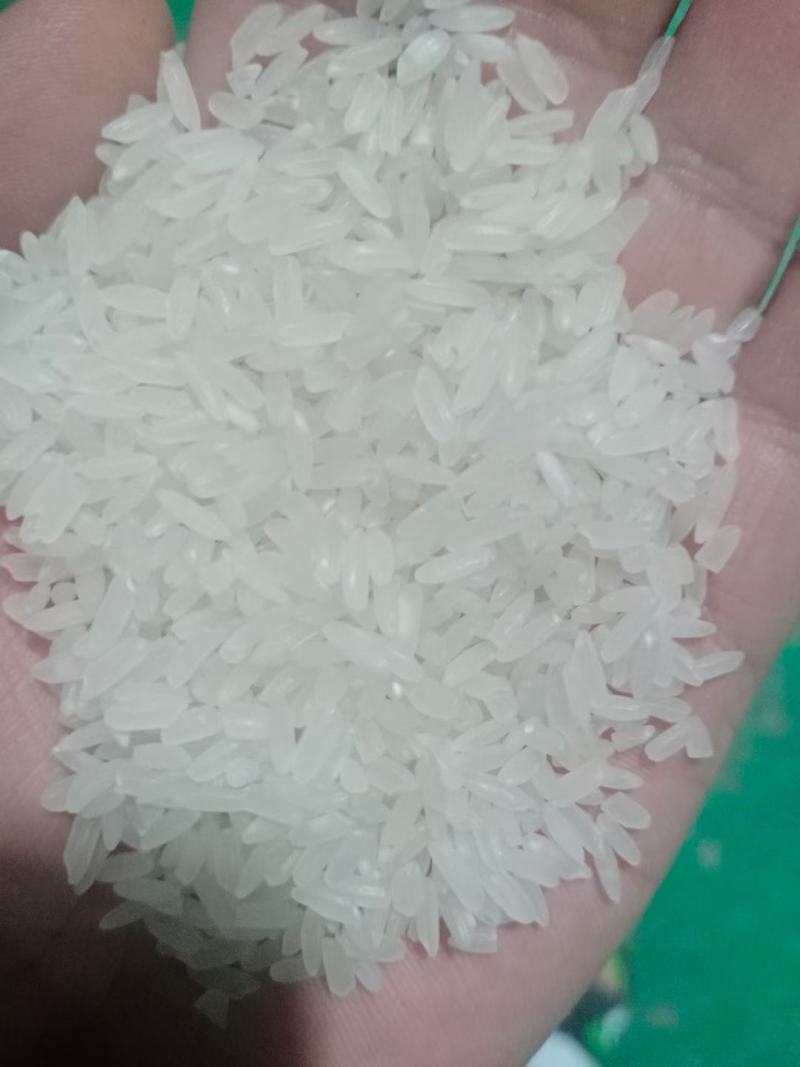 龙洋16双抛双选大量有货~
