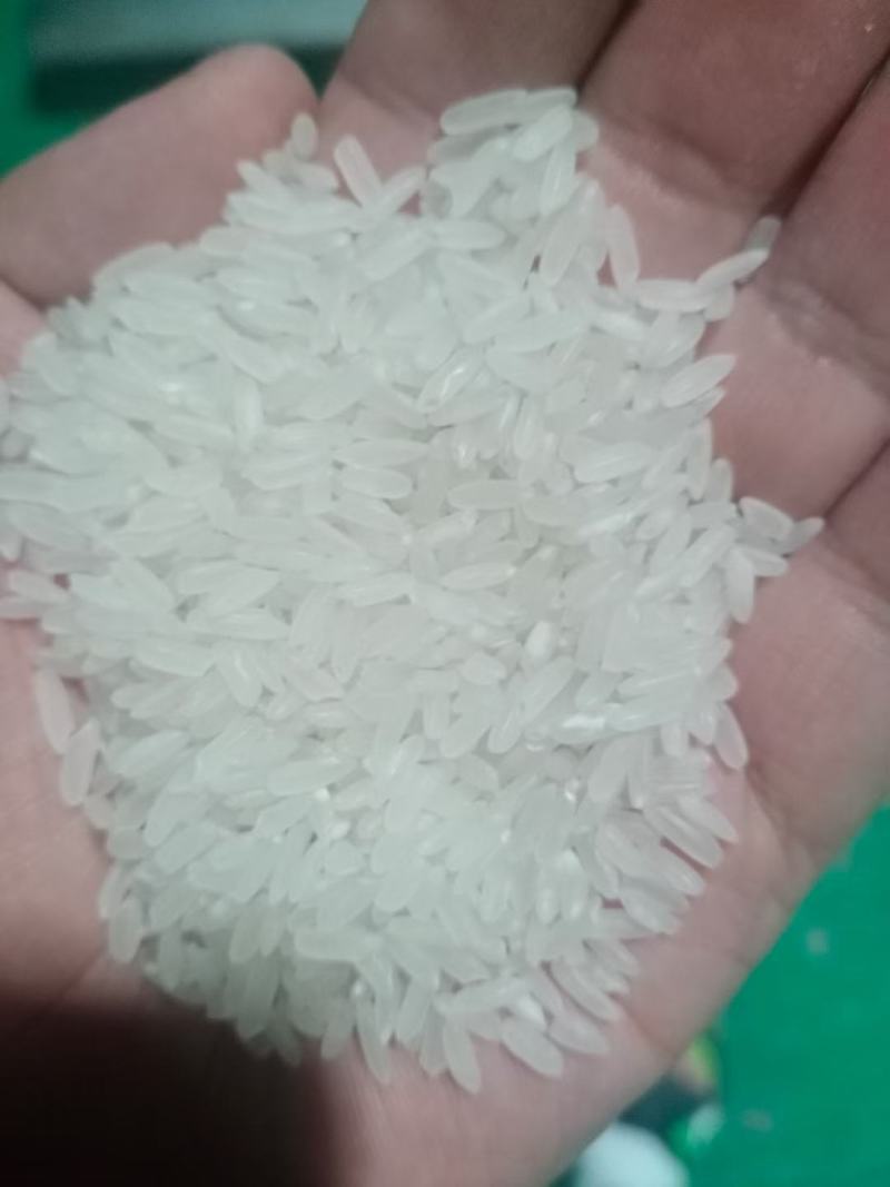 龙洋16双抛双选大量有货~