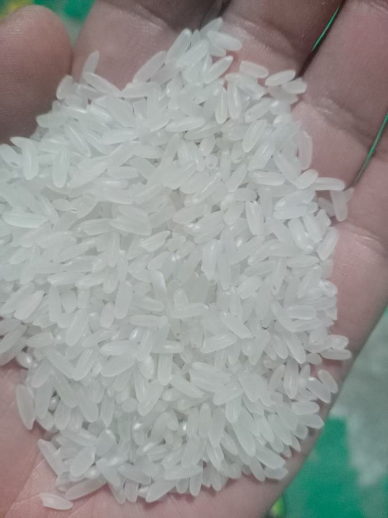龙洋16双抛双选大量有货~