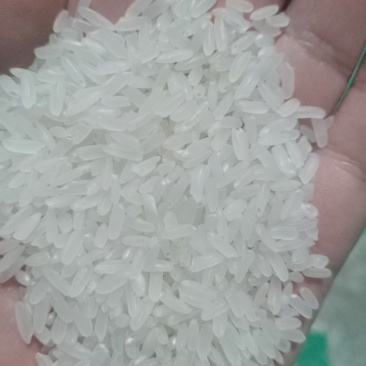 龙洋16双抛双选大量有货~