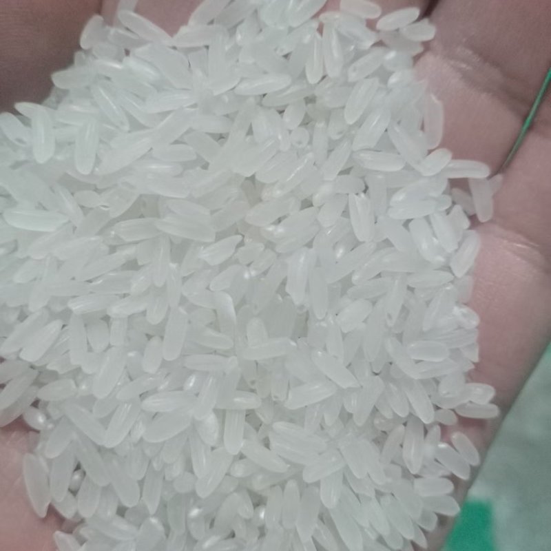 龙洋16双抛双选大量有货~