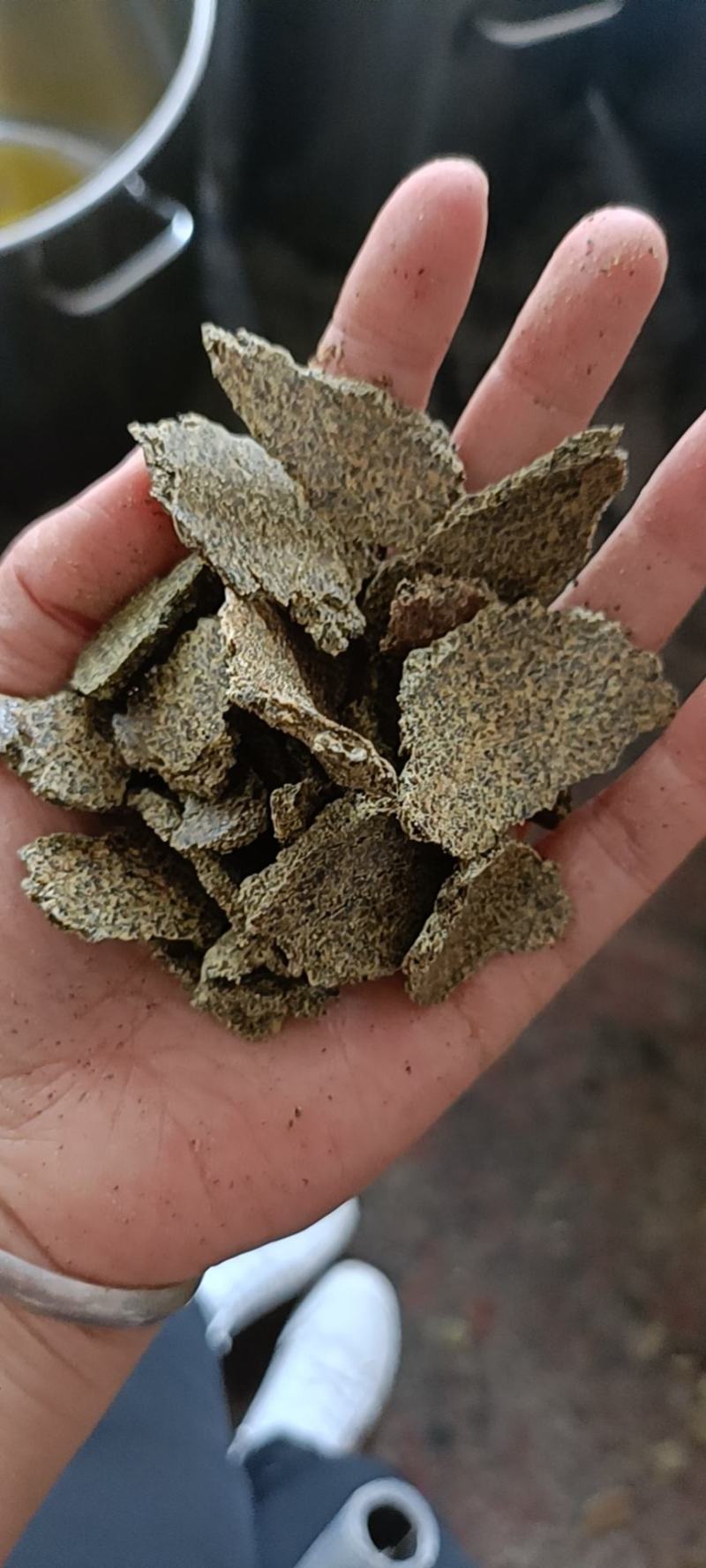 低温榨菜籽饼青黄饼有售质量很好