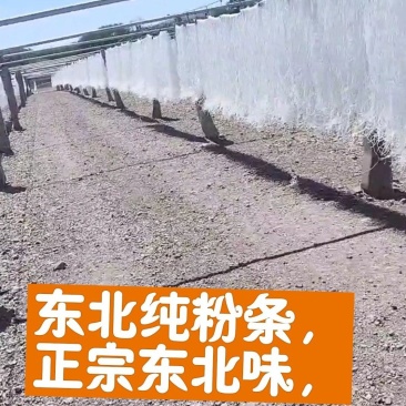 正宗东北纯土豆粉条，绿色天然，保质保量，多买优惠