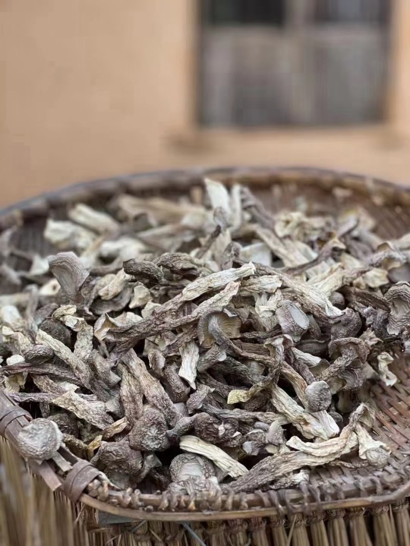 广东河源鹿茸菇，无脚菇干货10斤一件大量批发