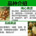 广西黄皮果苗嫁接黄皮果树苗鸡心黄皮无核黑黄皮树苗当果
