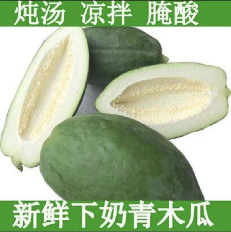 红心木瓜苗红肉大青木瓜苗