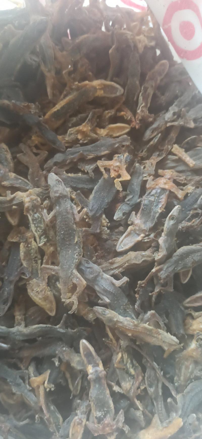 壁虎天龙守宫批发中药材壁虎各种规格
