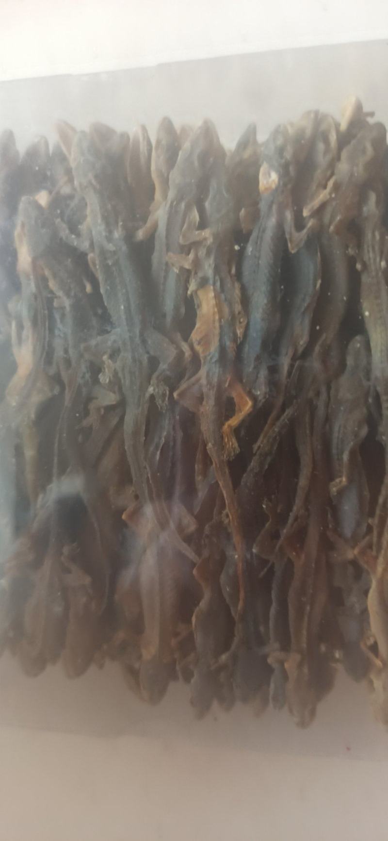 壁虎天龙守宫批发中药材壁虎各种规格