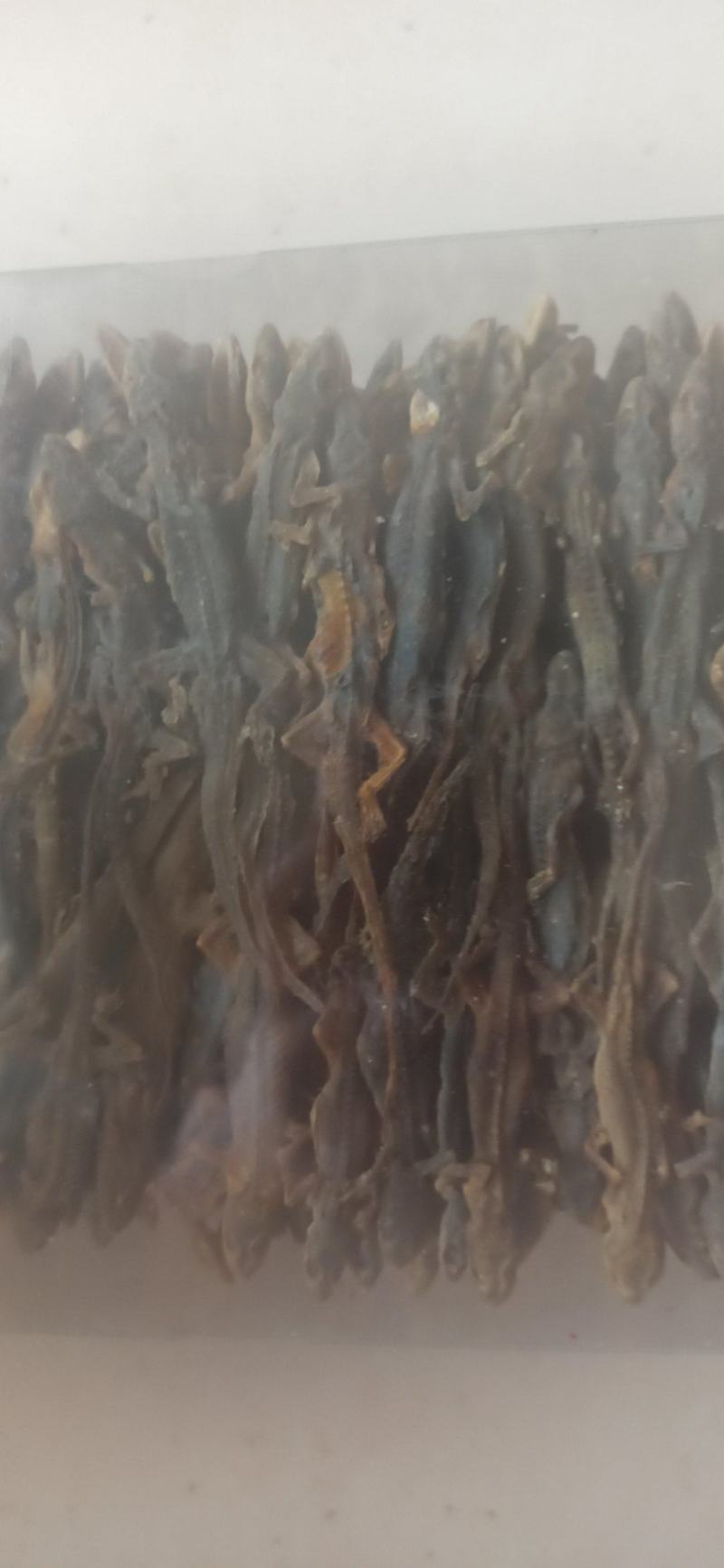 壁虎天龙守宫批发中药材壁虎各种规格
