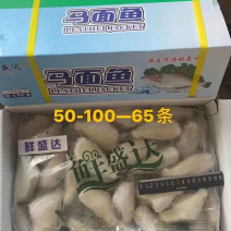 单冻耗儿鱼多种规格26/3030/5050/100