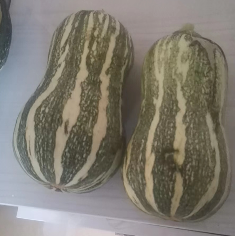 【货源充足】南阳精品花生南瓜大量上市，产地直发量大从优