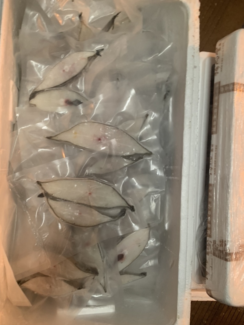 比目鱼段