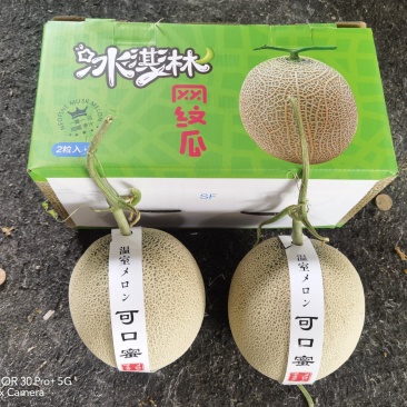 【支持一件代发】精品礼盒装玫珑蜜瓜,网纹瓜,甜度18