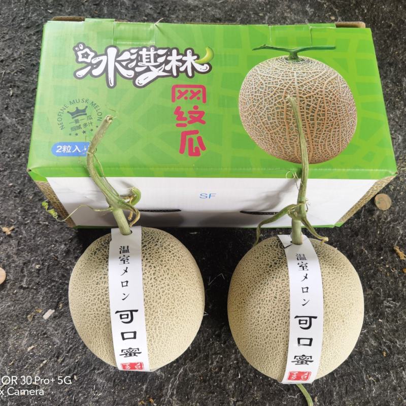 【支持一件代发】精品礼盒装玫珑蜜瓜，网纹瓜，甜度18