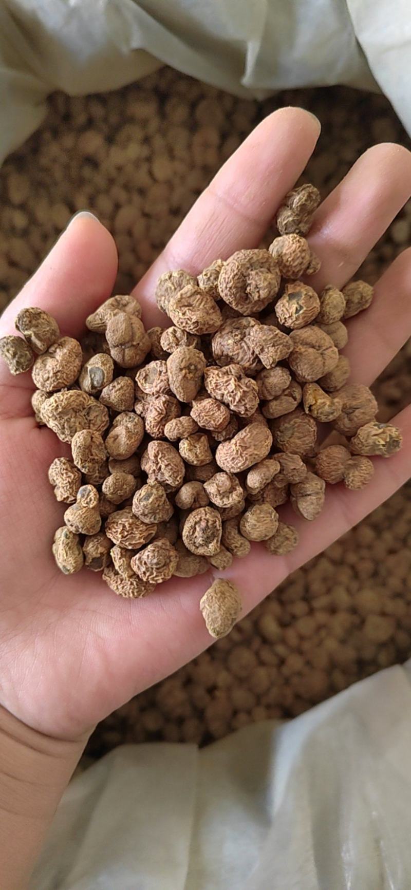 元胡个，元胡片，纯干物流，含量够，产地一手货源，批发零售