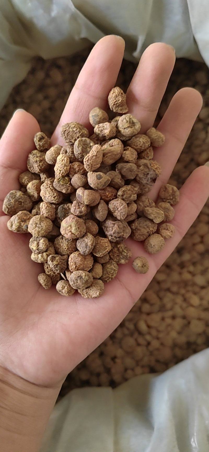 元胡个，元胡片，纯干物流，含量够，产地一手货源，批发零售