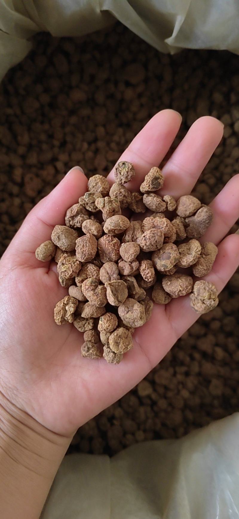 元胡个，元胡片，纯干物流，含量够，产地一手货源，批发零售
