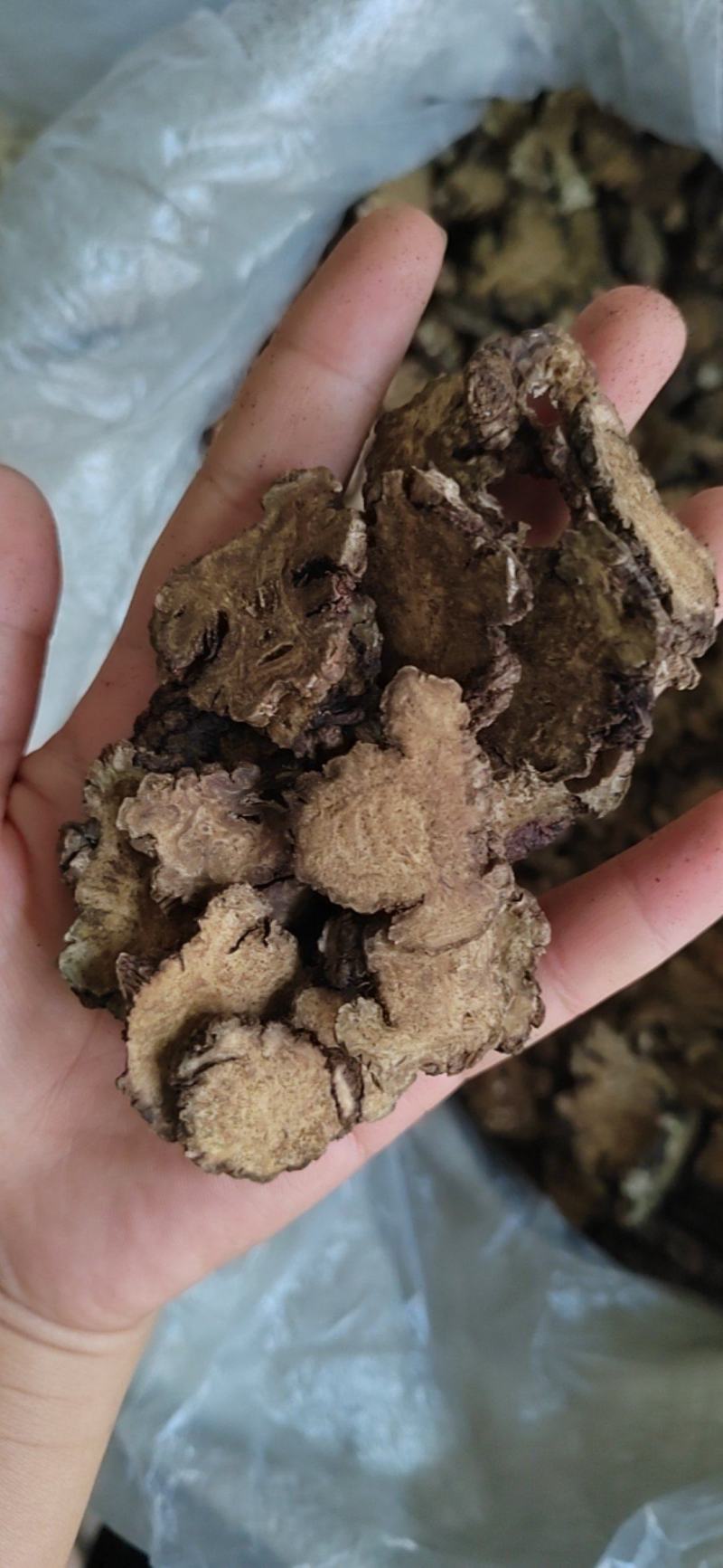 川穹，可打粉，产地货源充足，品质保证，产地四川