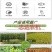 树空避障式割草机拖拉机带果园除草机碎草机2-5盘可选