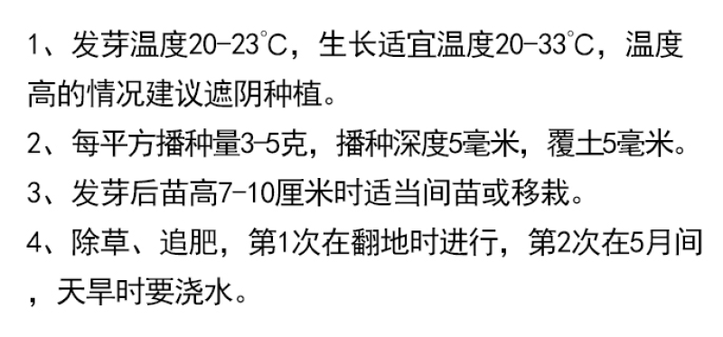 鸡冠花种子头状鸡冠花耐旱耐热花落籽繁殖四季易种植