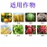 植尔乐20%毒氟磷黄瓜烟草番茄辣椒西瓜马铃薯病毒病专用药