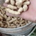热销【大白沙鲜花生】沙地货大果，保质保量收代发全国