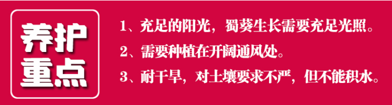 蜀葵种子春秋四季易开花多年生宿根花卉室外花卉