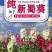 蜀葵种子春秋四季易开花多年生宿根花卉室外花卉