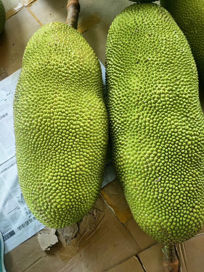 马来西亚1号