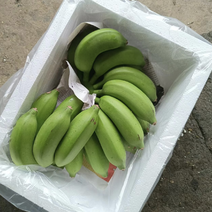 广西小米蕉一件产地直发当季新鲜水果