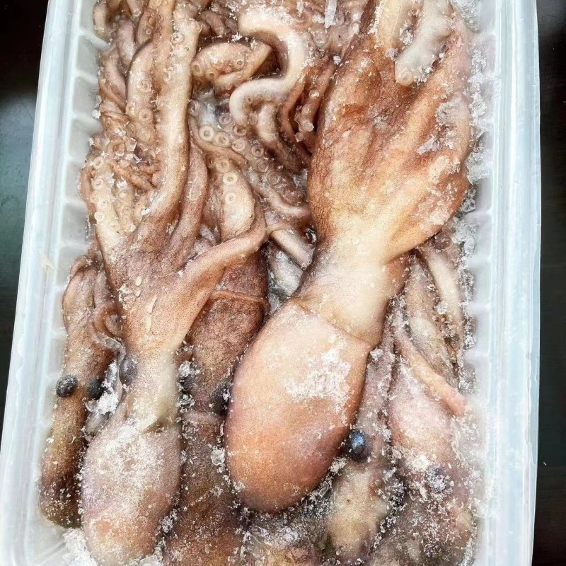 八爪鱼，小仓鱼